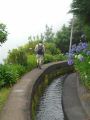 Madeira0837.JPG